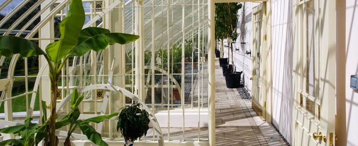 R_C_the peach house_2
